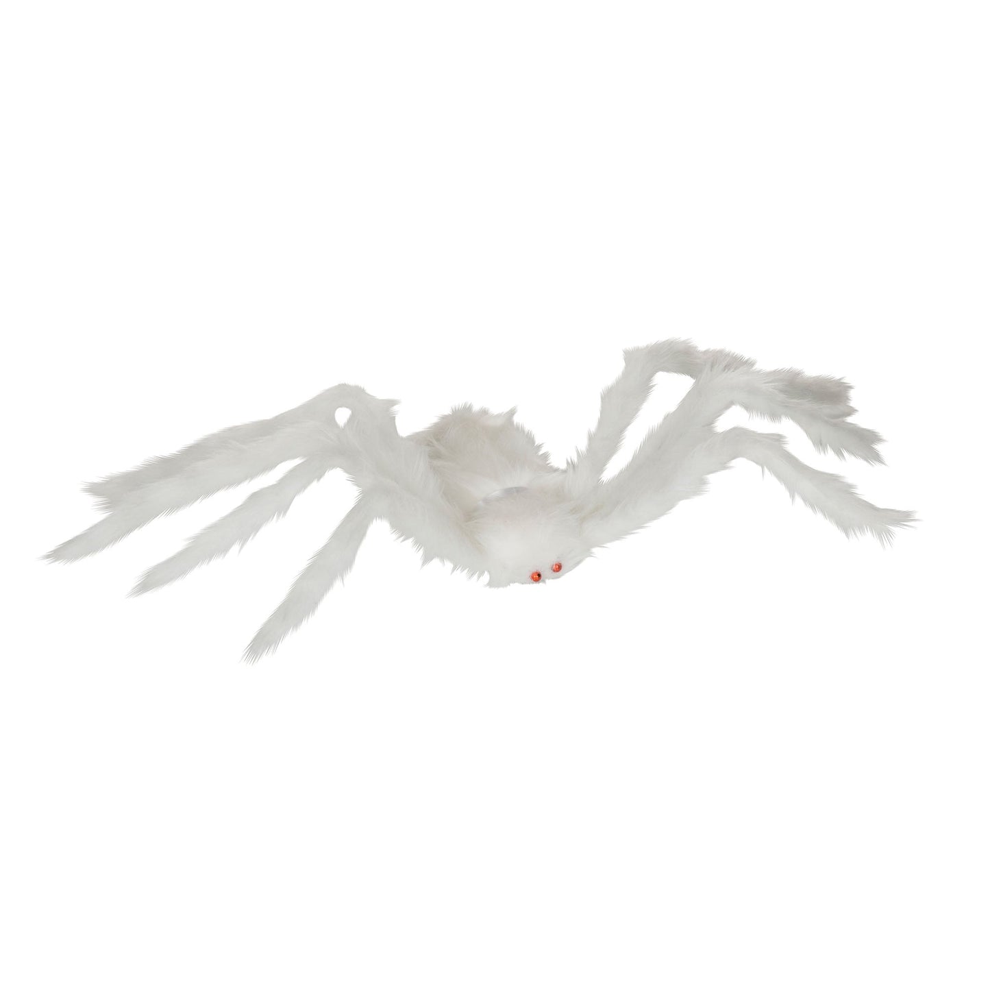 Spider Hairy White 33 Animal Kingdom Unisex 1