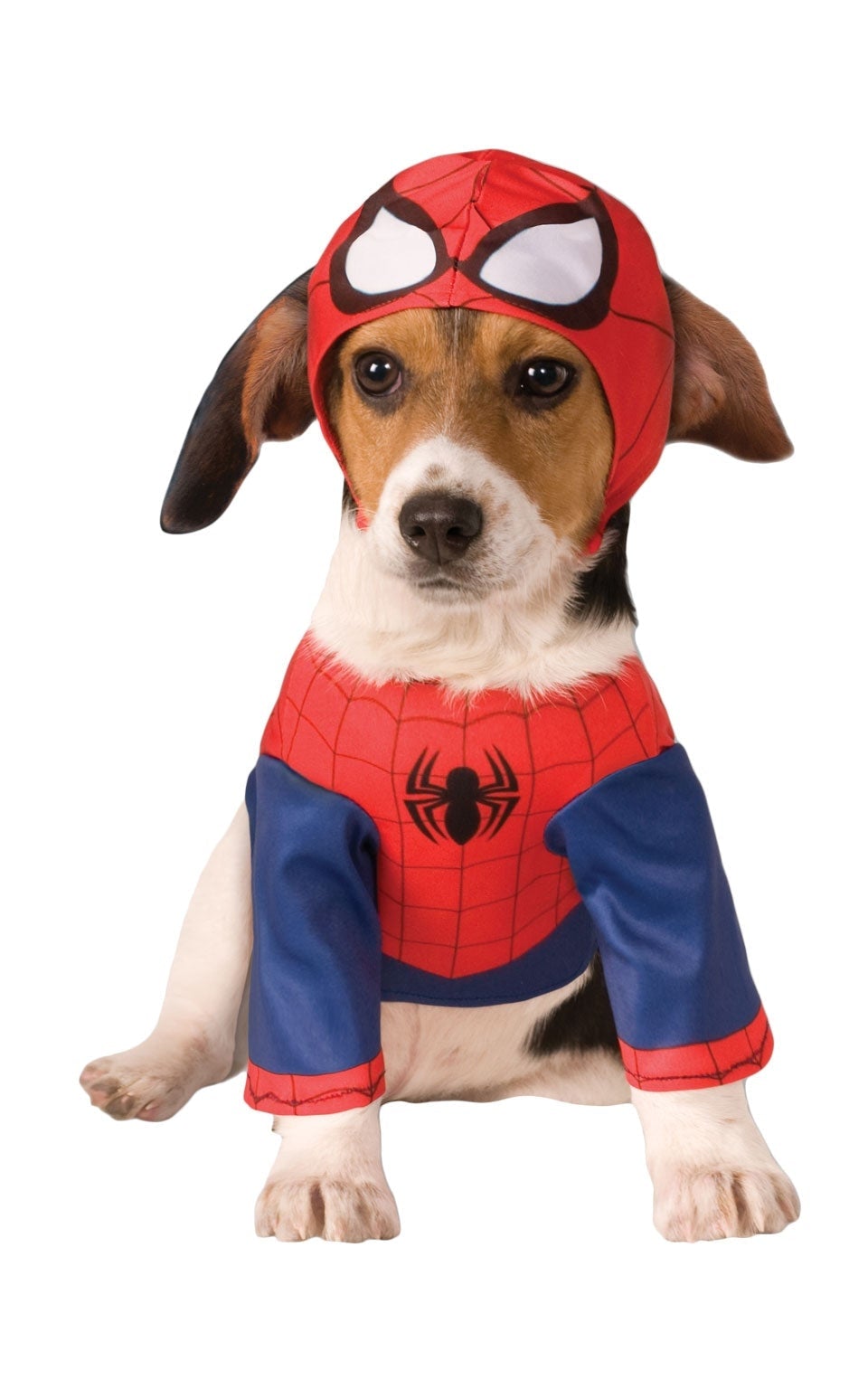 Spiderman Dog Costume and Cat Disguise_2