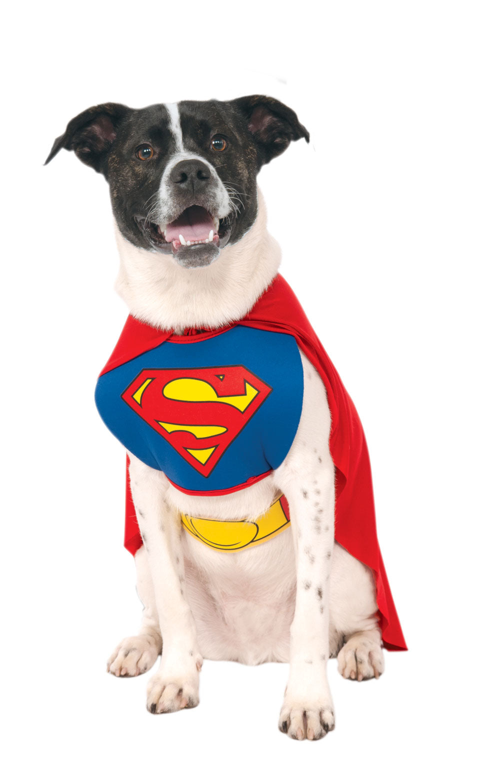 Superman Dog Costume 2