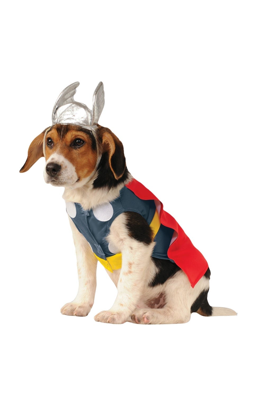 Thor Pet Costume Marvel Avengers Dog 1