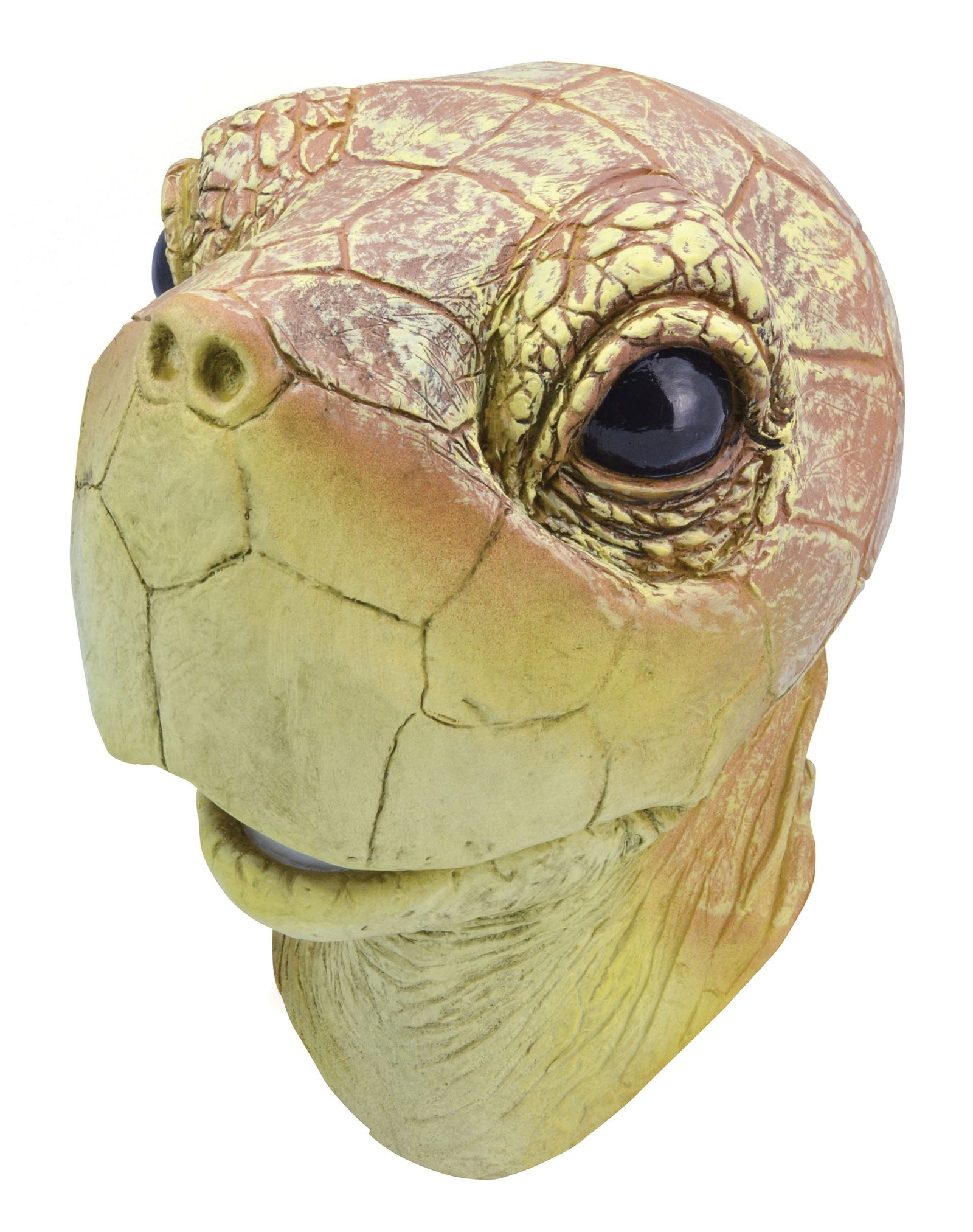 Turtle Rubber Mask Overhead 1