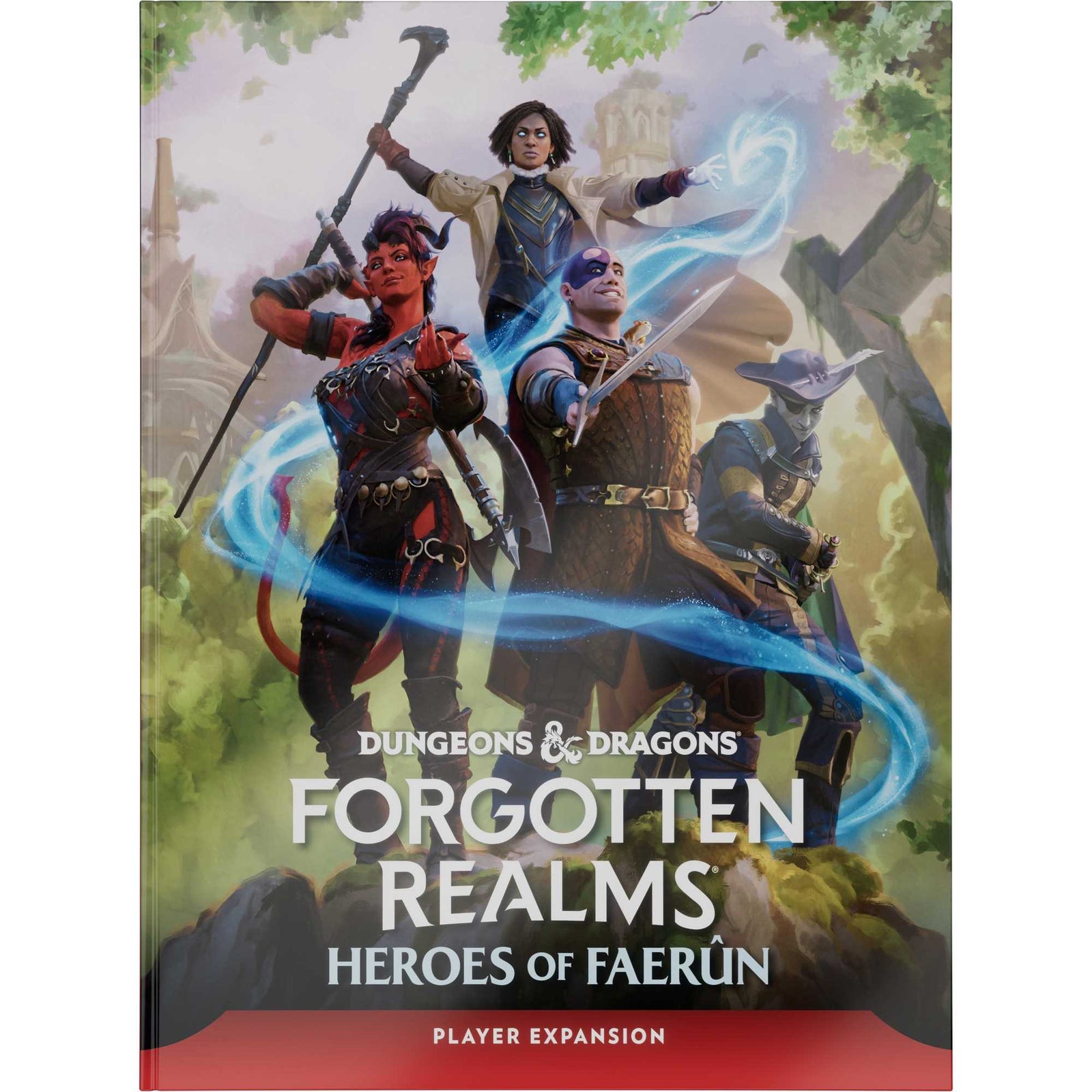 Forgotten Realms Players Guide Dungeons and Dragons DDN Roleplaying Game by Wizards of the Coast 1