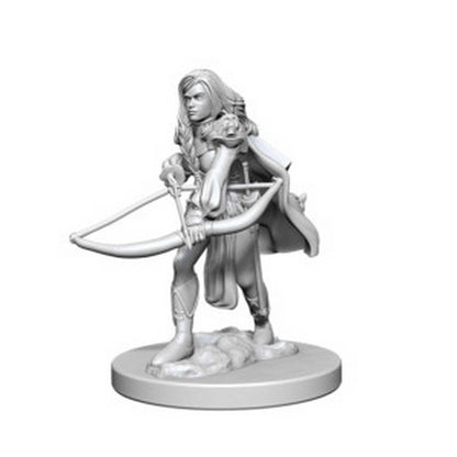 Pathfinder Deep Cuts Unpainted Miniatures: Human Female Fighter 2