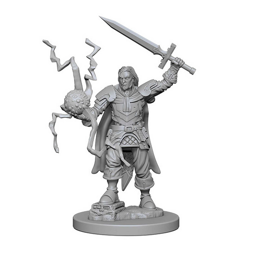 Pathfinder Deep Cuts Unpainted Miniatures: Human Male Cleric