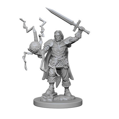 Pathfinder Deep Cuts Unpainted Miniatures: Human Male Cleric 2