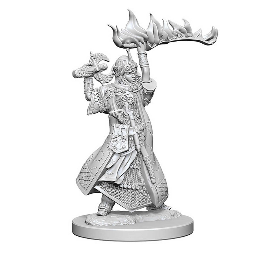 Pathfinder Deep Cuts Unpainted Miniatures: Human Female Cleric