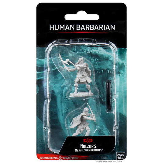 Human Female Barbarian D and D Nolzurs Marvelous Unpainted Miniatures W1 Miniature Game by Wiz Kids 1