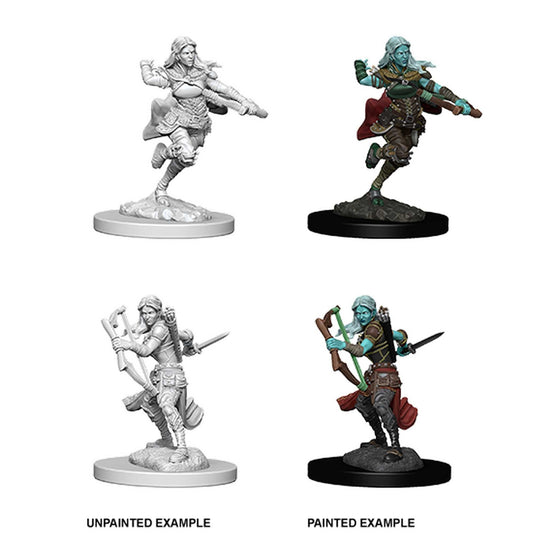 D&D Unpainted Miniatures: Air Genasi Female Rogue 1