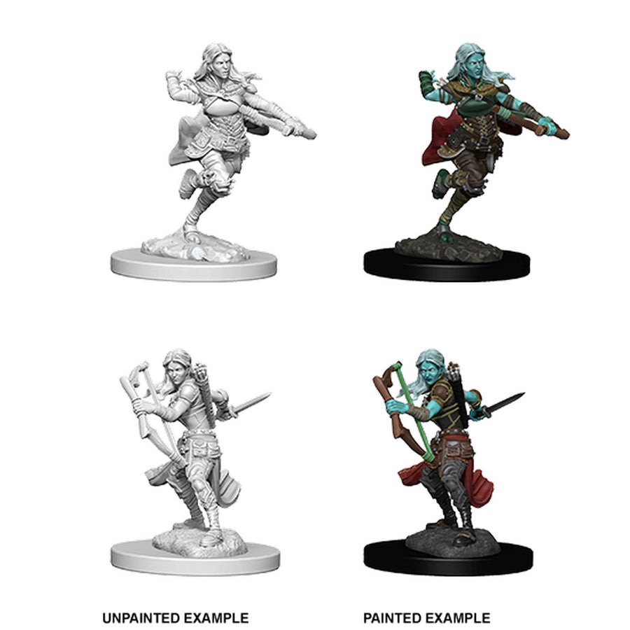 D&D Unpainted Miniatures: Air Genasi Female Rogue