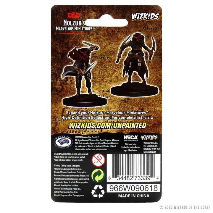 Dungeons and Dragons Unpainted Miniatures Tiefling Female Rogue Roleplaying Game Accessory