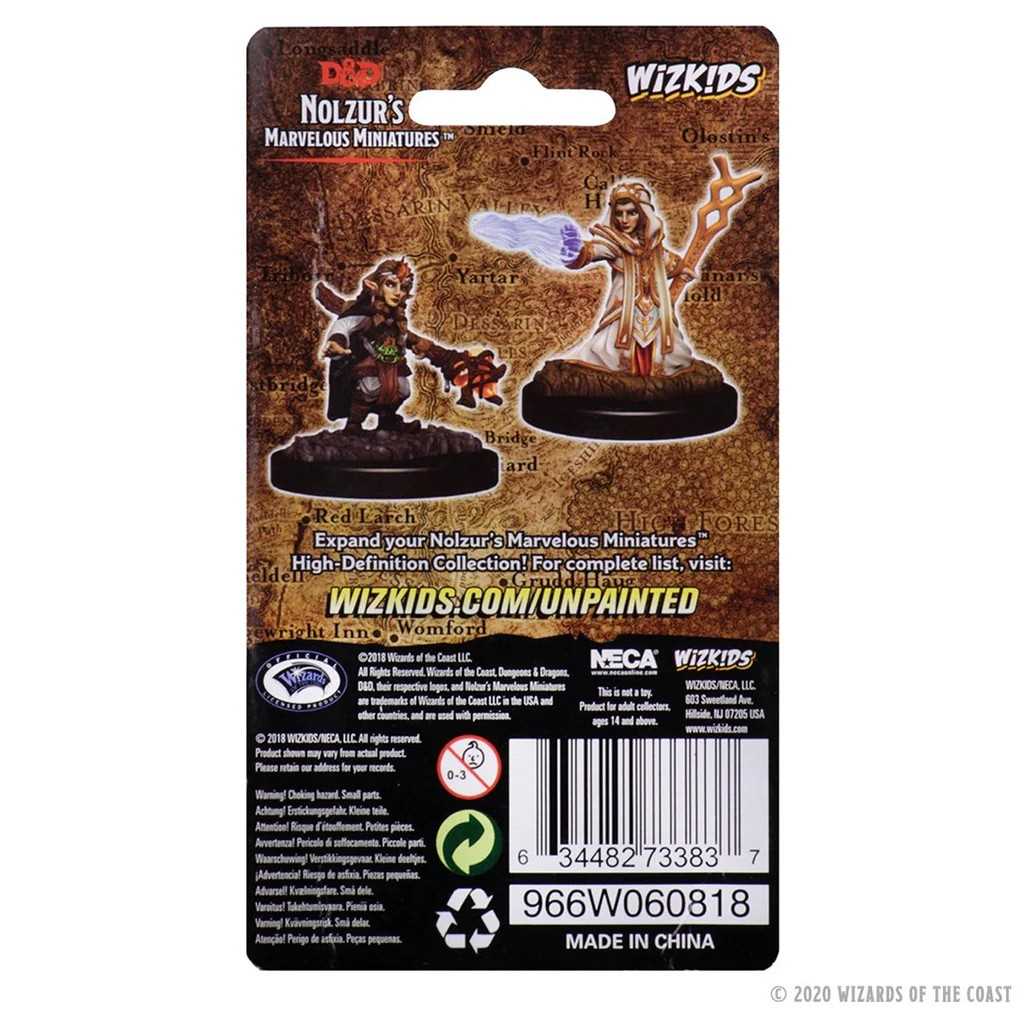 D&D Unpainted Miniatures: Female Gnome Wizard 2