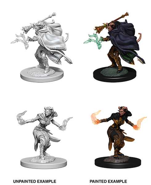 D&D Unpainted Miniatures: Female Tiefling Warlock