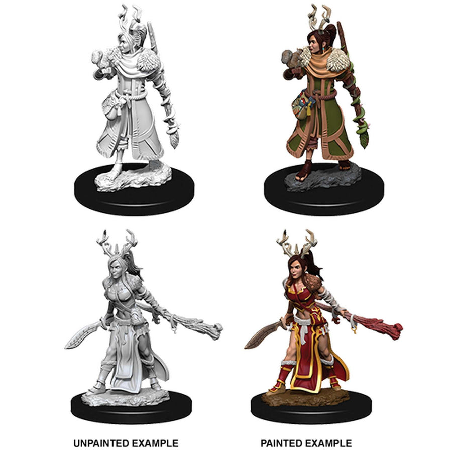 D&D Nolzur's Marvelous Unpainted Miniatures: Female Human Druid