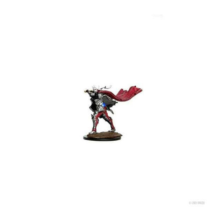 D&D Frameworks: Elf Paladin Female 2