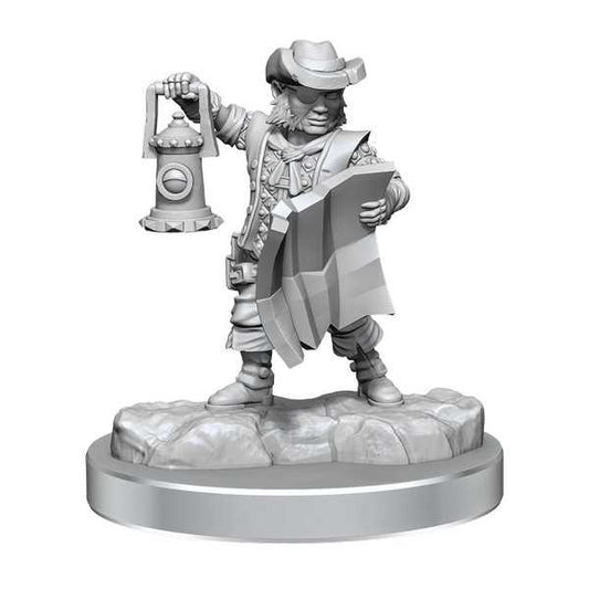 D&D Frameworks: Male Halfling Rogue 2