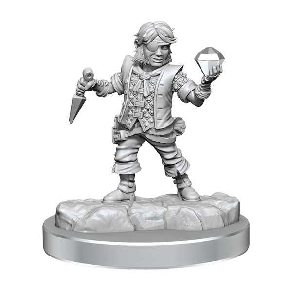 D&D Frameworks: Male Halfling Rogue 3