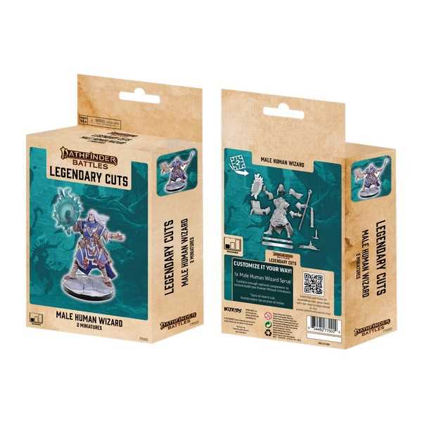 Pathfinder Legendary Cuts: Male Human Wizard 1