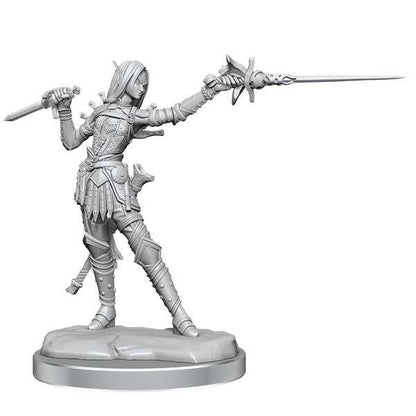Pathfinder Legendary Cuts: Female Elf Rogue 2