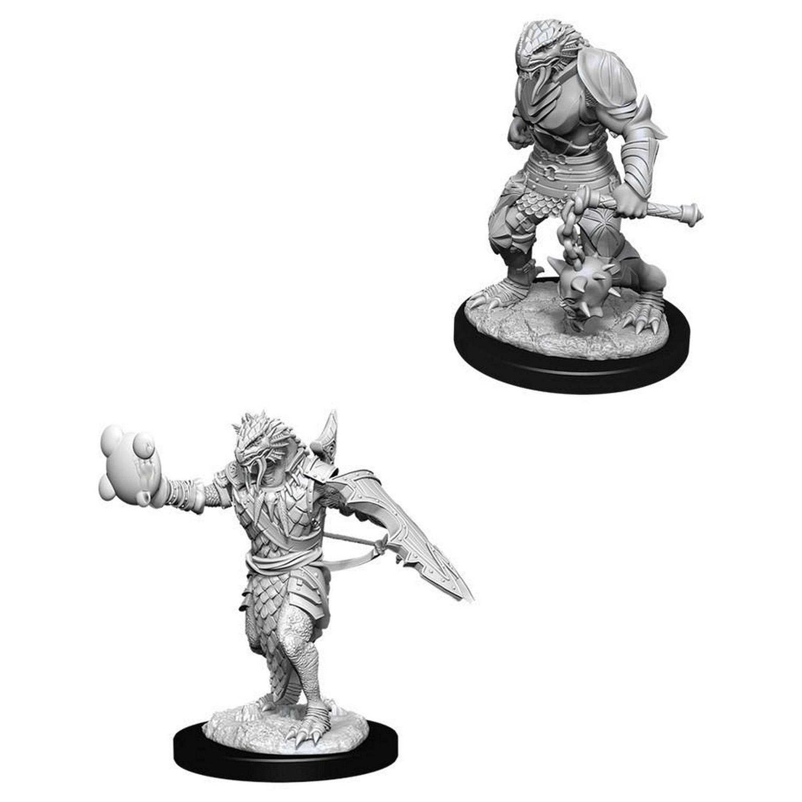 Male Dragonborn Paladin: D&D Nolzur's Marvelous Unpainted Miniatures (W11) 1