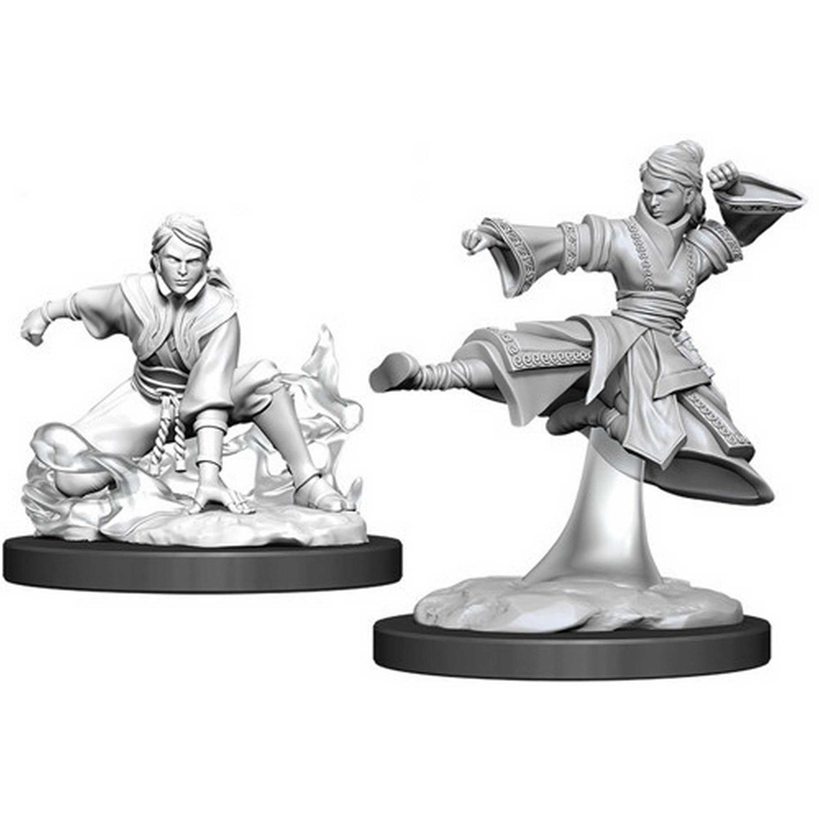 Female Human Monk: D&D Nolzur's Marvelous Unpainted Miniatures (W11) 1
