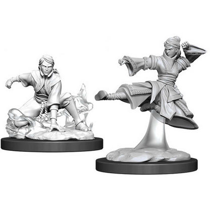 Female Human Monk: D&D Nolzur's Marvelous Unpainted Miniatures (W11) 1