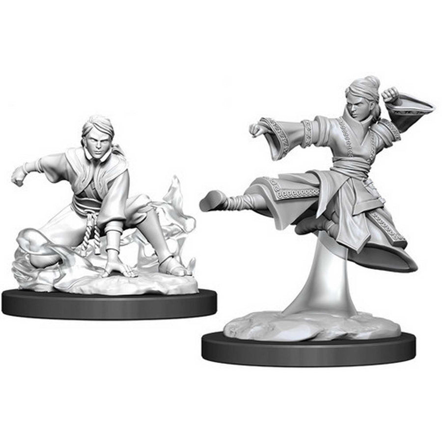 Female Human Monk: D&D Nolzur's Marvelous Unpainted Miniatures (W11)