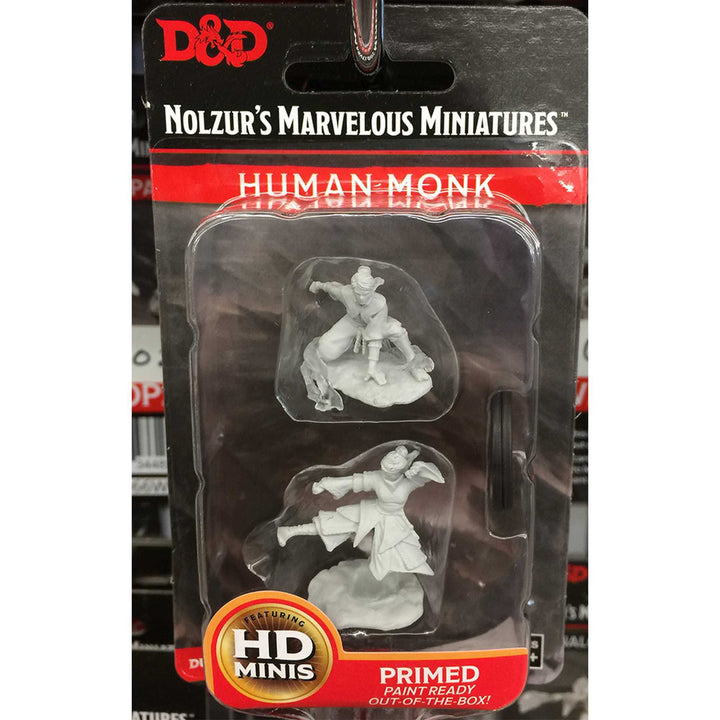 Female Human Monk: D&D Nolzur's Marvelous Unpainted Miniatures (W11)