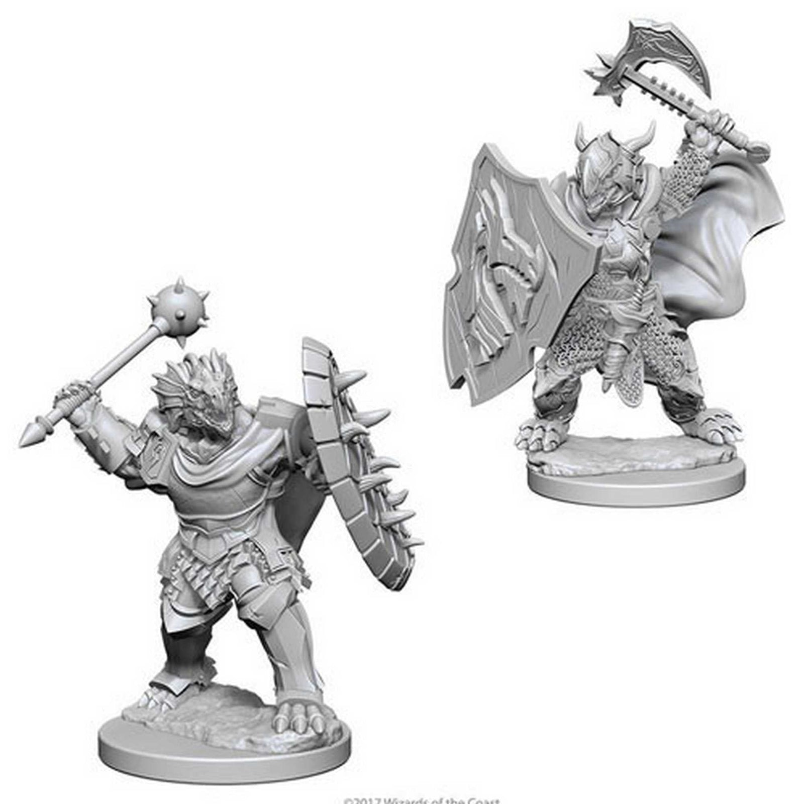 D&D Nolzur's Marvelous Miniatures - Male Dragonborn Paladin 1