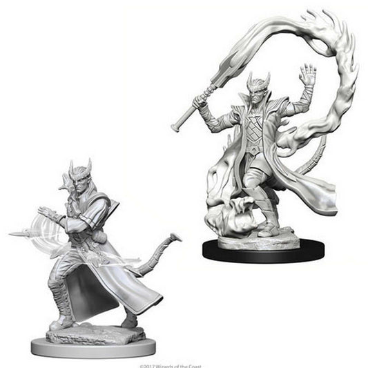 D&D Nolzur's Marvelous Miniatures - Male Tiefling Sorcerer 1
