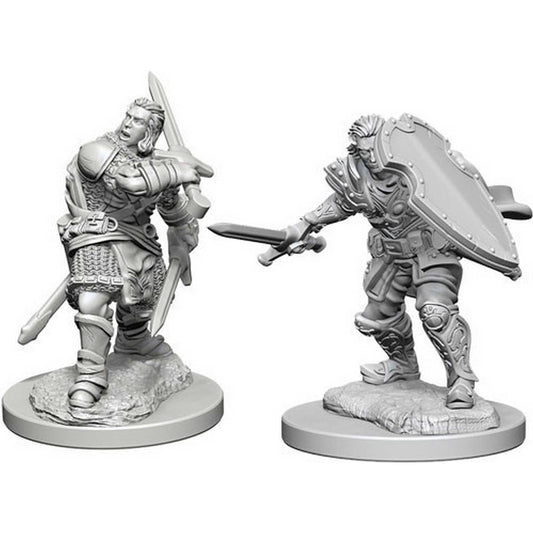 D&D Nolzur's Marvelous Miniatures - Male Human Paladin 1