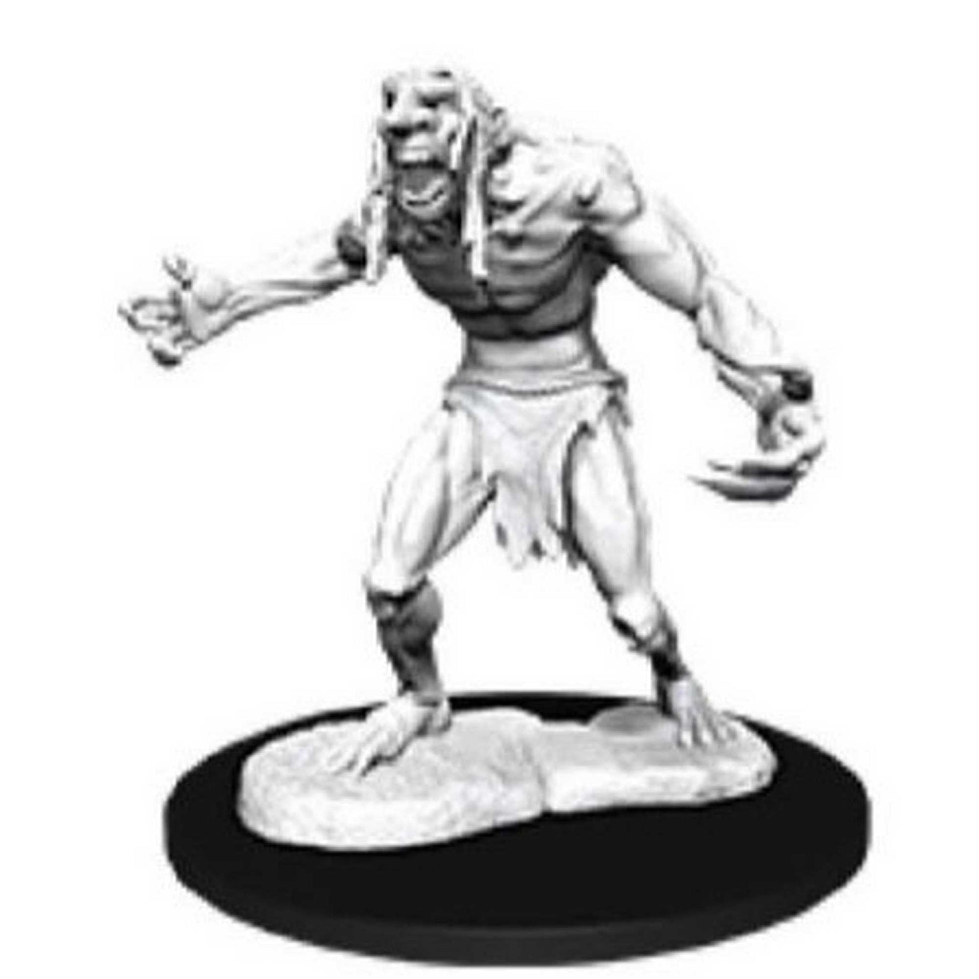 D&D Nolzur's Marvelous Miniatures - Raging Troll 1