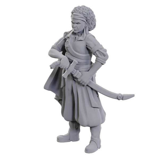 D&D Nolzur's Marvelous Unpainted Miniatures: Ansalon Human Rogue 1