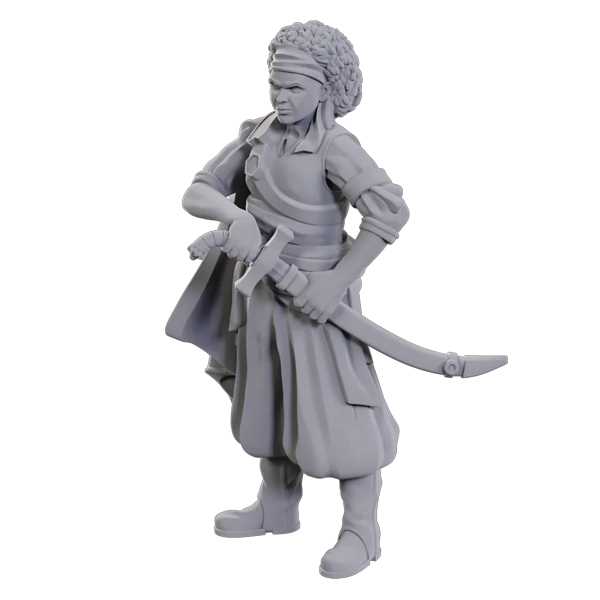 D&D Nolzur's Marvelous Unpainted Miniatures: Ansalon Human Rogue