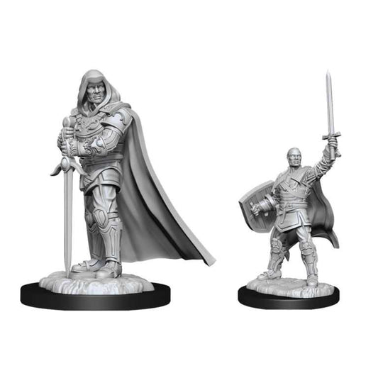 D&D Nolzur's Marvelous Miniatures: Human Paladin Male 1