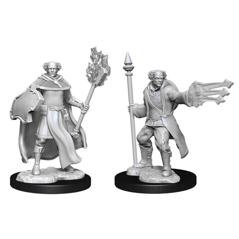 D&D Nolzur's Marvelous Miniatures: Multiclass Cleric+Wizard Male 1