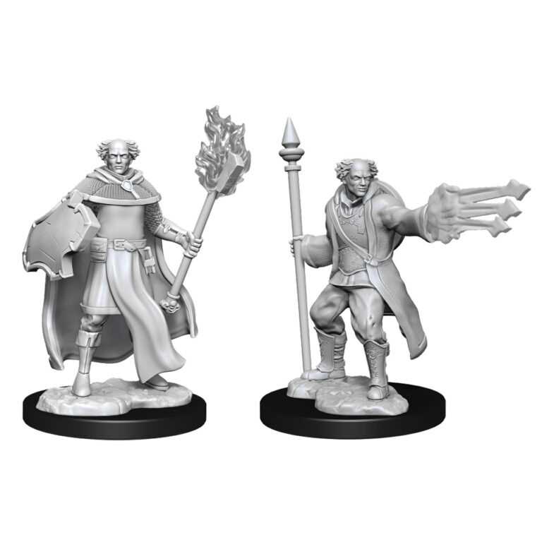 D&D Nolzur's Marvelous Miniatures: Multiclass Cleric+Wizard Male