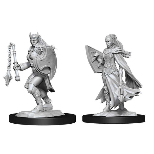 D&D Nolzur's Marvelous Miniatures: Kalashtar Cleric Female 1