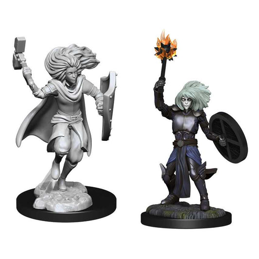D&D Nolzur's Marvelous Miniatures: Changeling Cleric 1