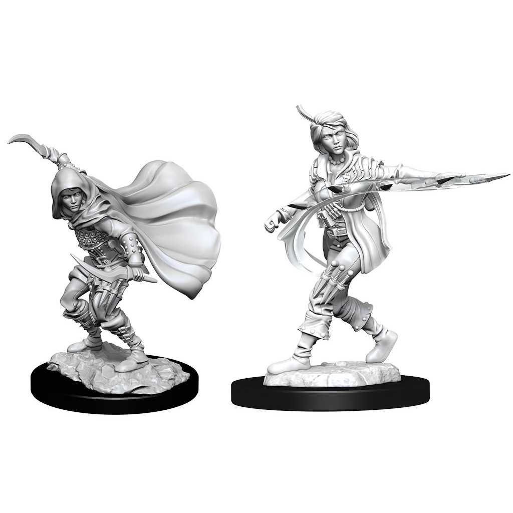 Pathfinder Deepcuts: Human Rogue Female 1