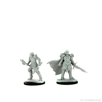 Dragonborn Fighter Female D and D Nolzurs Marvelous Unpainted Miniatures W15 Miniature Game by Wiz Kids 3