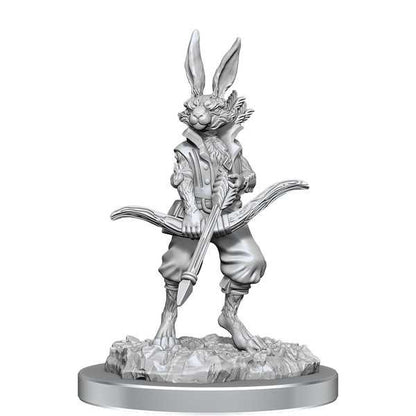 Dungeons & Dragons Nolzur's Marvelous Unpainted Miniatures: Paint Kit - Harengon 3