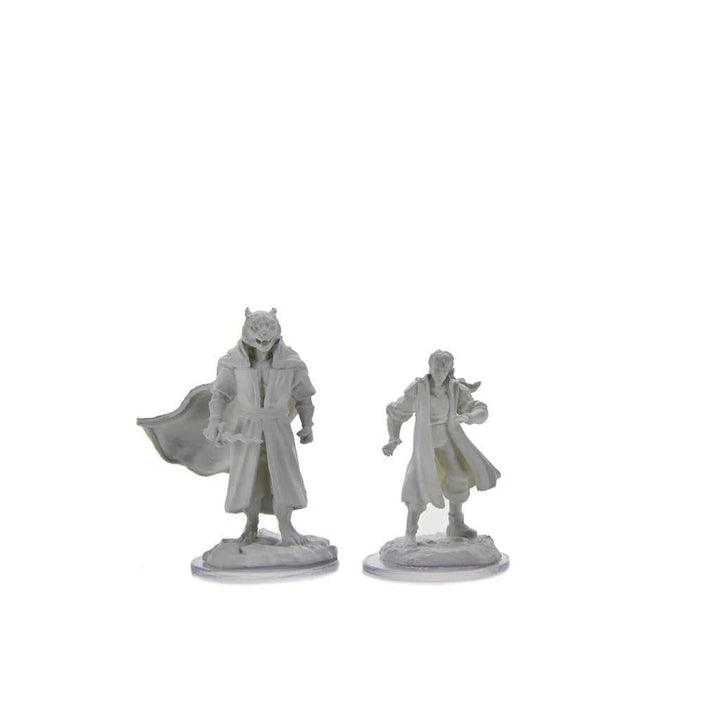 Male Human Sorcerer Merchant and Tiger Demon Critical Role Unpainted Miniatures W3 Miniature Game by Wiz Kids 3