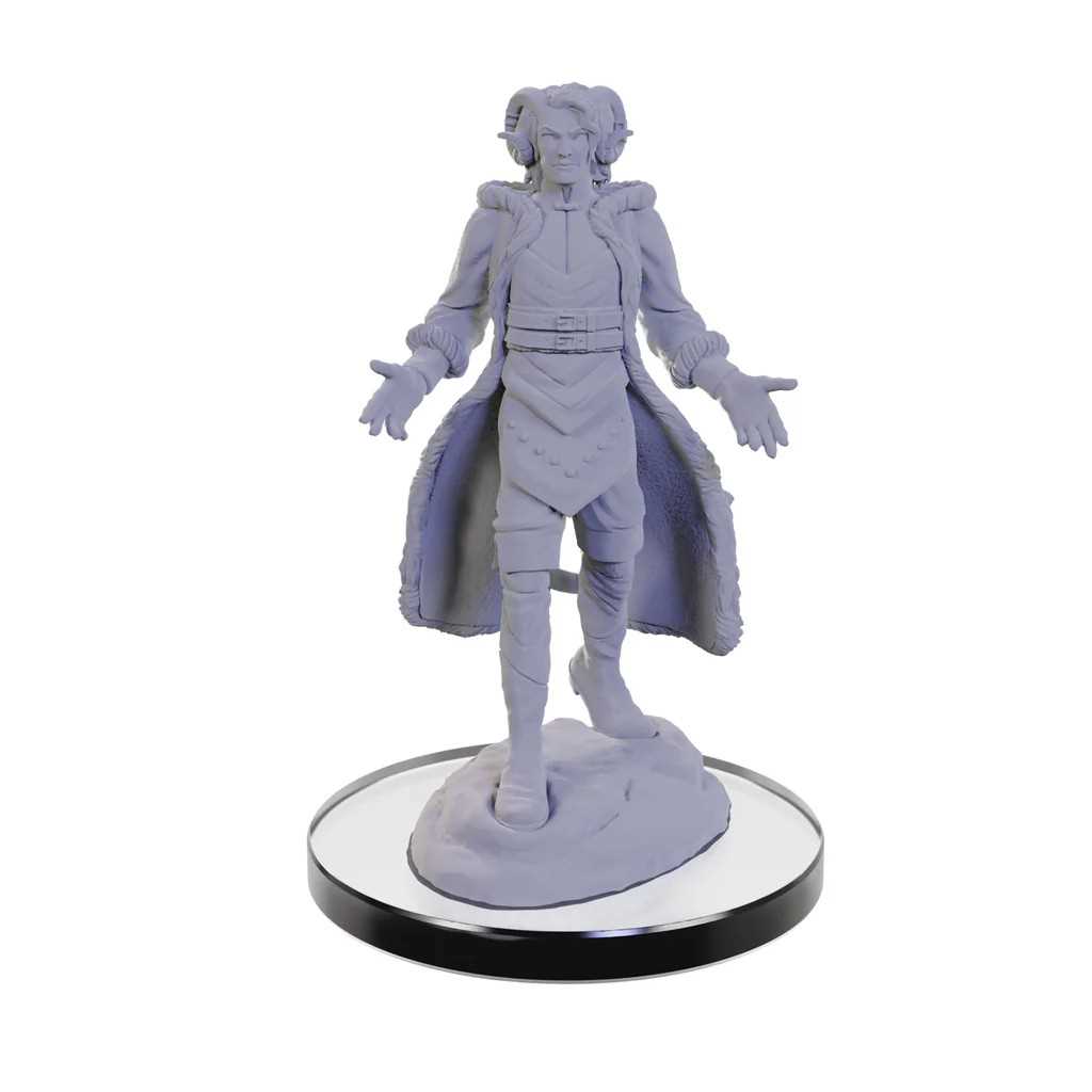 Lucien Tavelle and Cree Deeproots Critical Role Unpainted Miniatures W5 Miniature Game by Wiz Kids 3