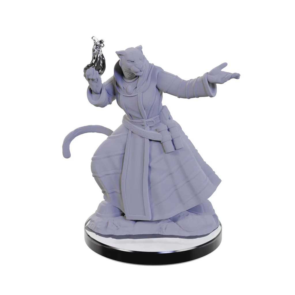 Lucien Tavelle and Cree Deeproots Critical Role Unpainted Miniatures W5 Miniature Game by Wiz Kids 4