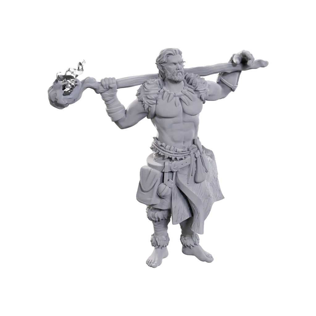 D&D Nolzur's Marvelous Miniatures: Archdruid & Martial Arts Adept 2