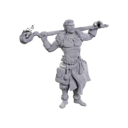 D&D Nolzur's Marvelous Miniatures: Archdruid & Martial Arts Adept 2