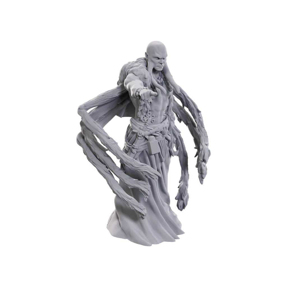 D&D Nolzur's Marvelous Miniatures: Kraken Priest 2