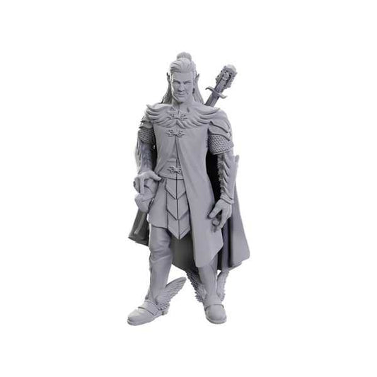Dorian Storm Critical Role Unpainted Miniatures W23 Miniature Game by Wiz Kids 2