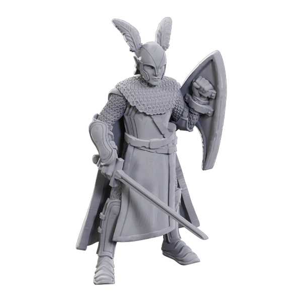 D&D Nolzur's Marvelous Unpainted Miniatures: Limited Edition 50th Anniversary - Elves