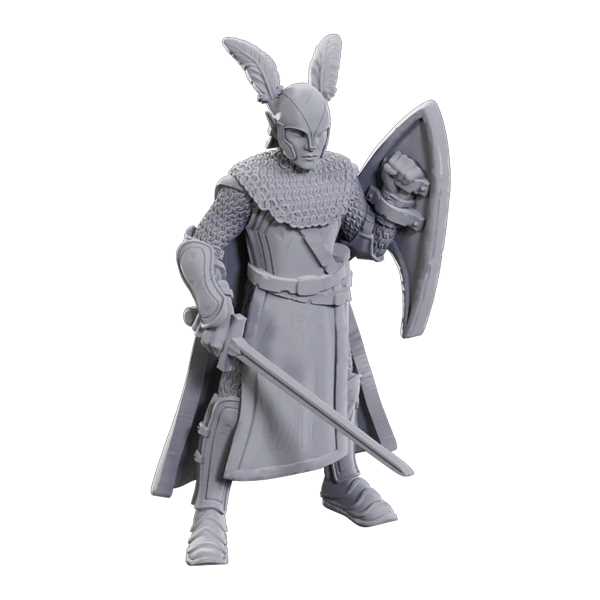 D&D Nolzur's Marvelous Unpainted Miniatures: Limited Edition 50th Anniversary - Elves 1
